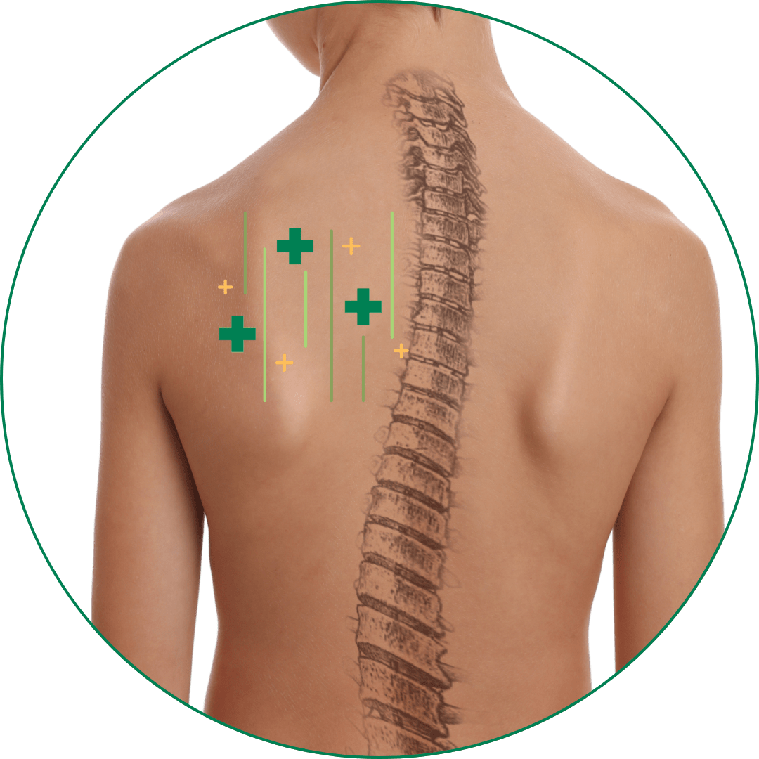 Chiropractic Seremban - True Care Chiropractic